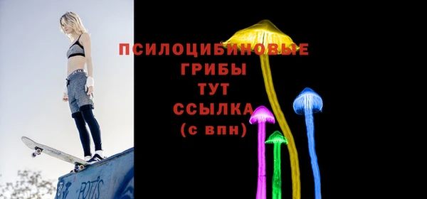метадон Медвежьегорск