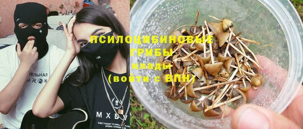 МДПВ Мегион