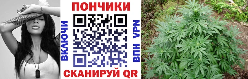 Бошки марихуана Bruce Banner  Купить закладки  Райчихинск 